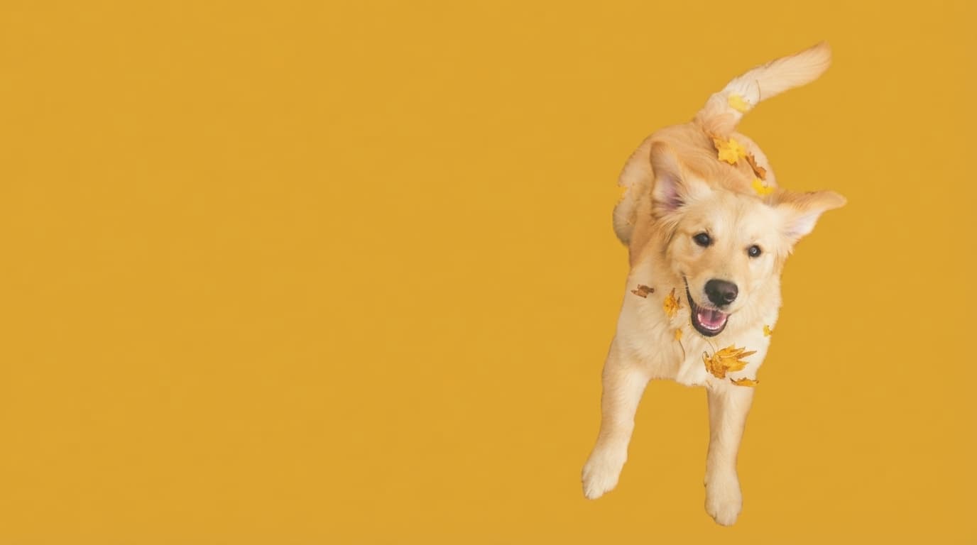 Healthy dog enjoying a calm yard