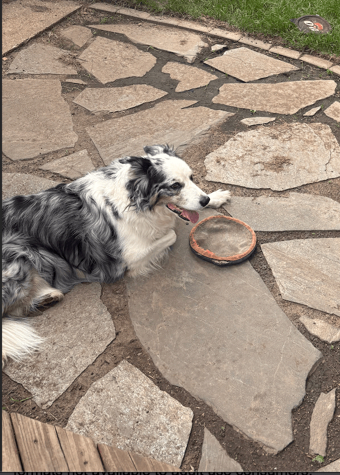 Pixel focused on a toy