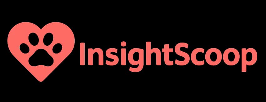 InsightScoop
