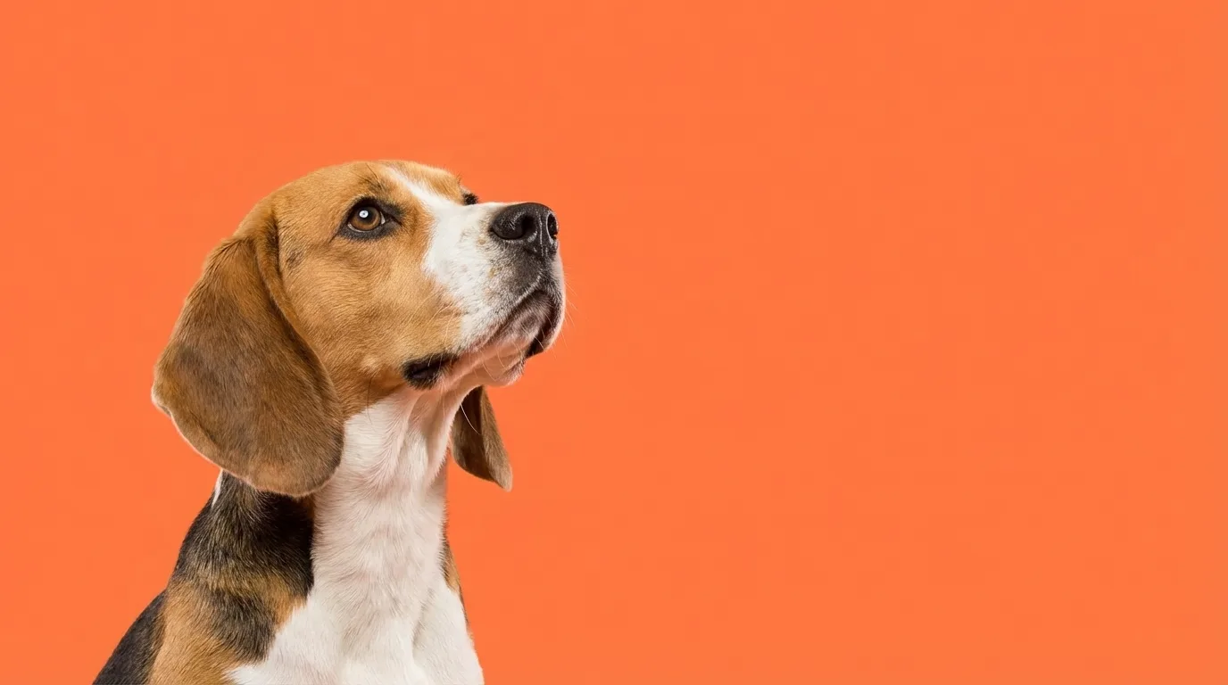 Happy customers enjoying clean yards with their dogs