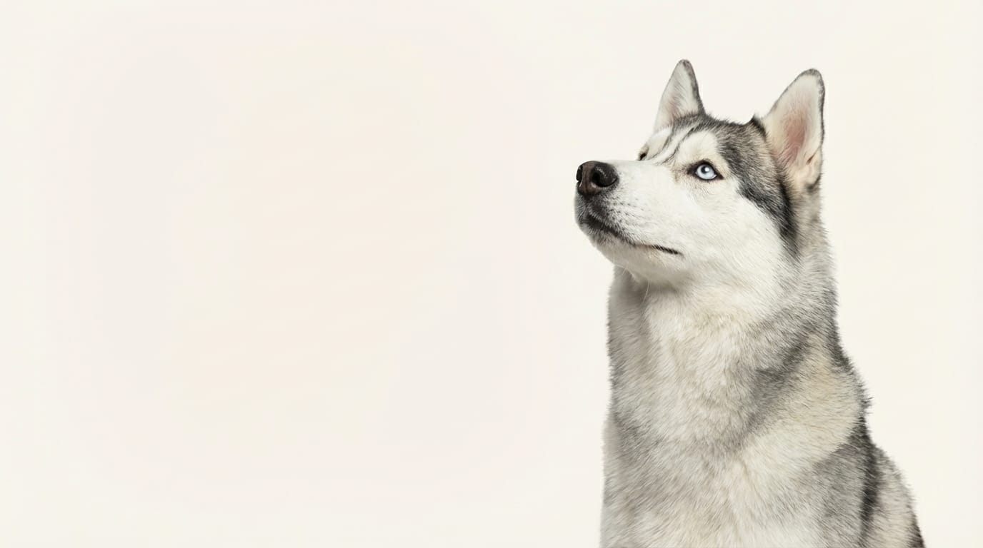 Customer discussing pet care questions outdoors