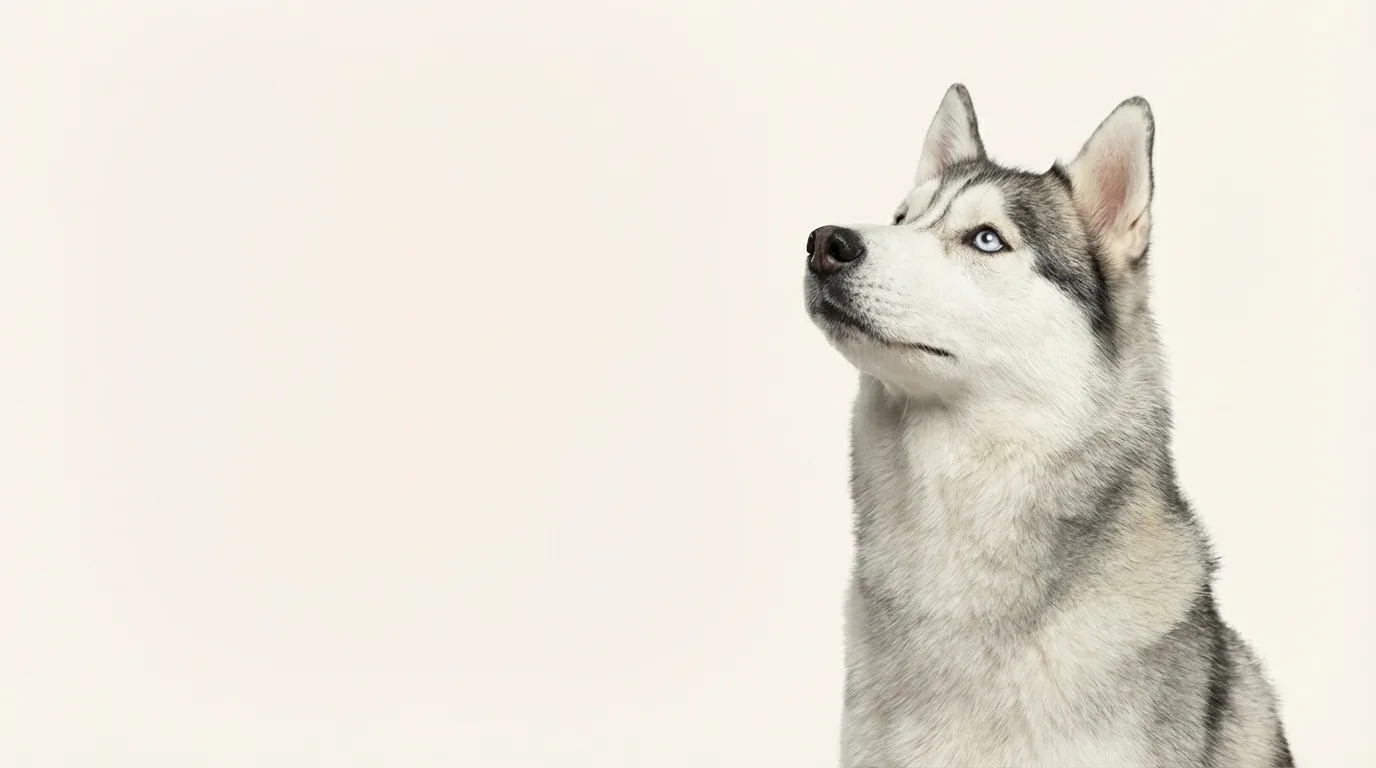 Customer discussing pet care questions outdoors