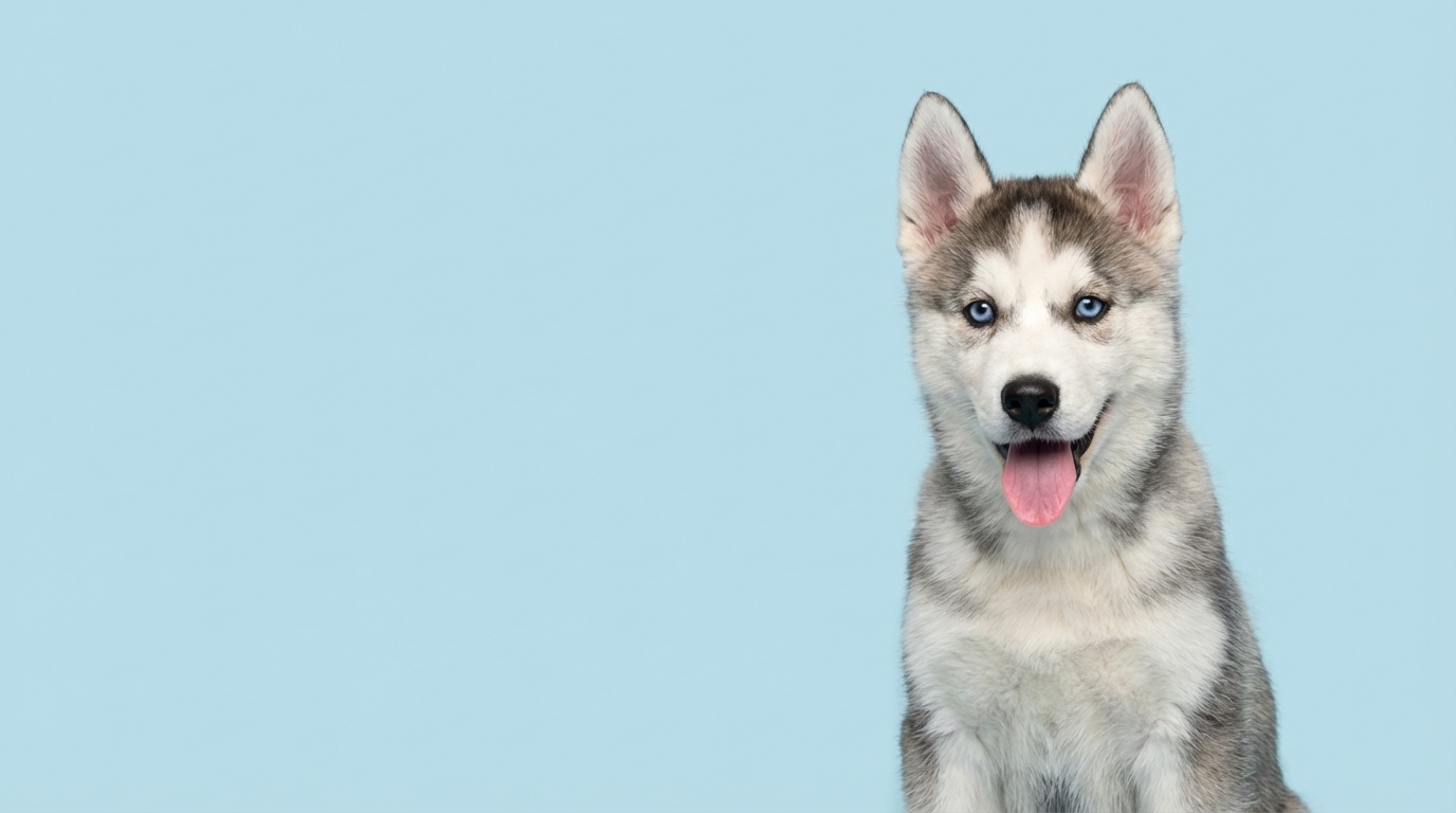 How it works background