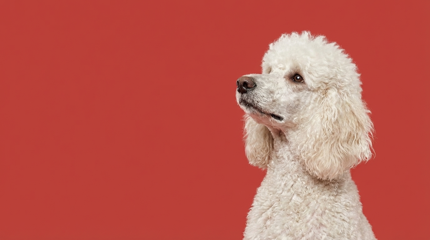 Eco-friendly landscape with greenery